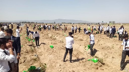 Green Future